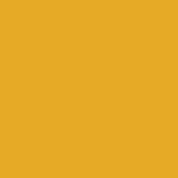 Bolt Ends - Pure Solids: Turmeric (459) 40 cm