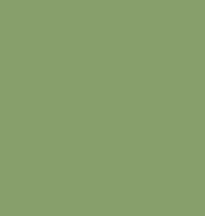 Pure Solids: Asparagus (542)