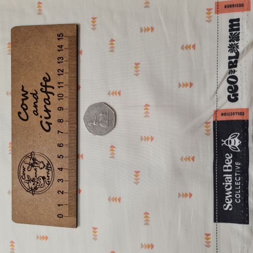 GeoBloom - New Directions by Abby Luchsinger