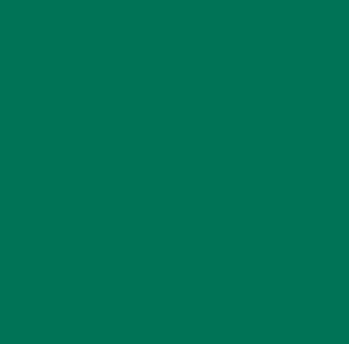 NEW Pure Solids - Rainforest (574)