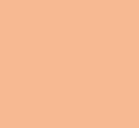 Signature Pure Solids: Shrimpy (907)