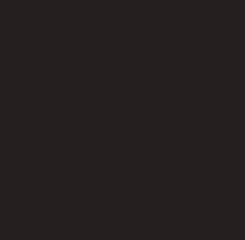 Signature Pure Solids: Truffle (919)