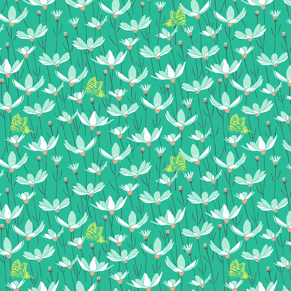 Meadow - Grass