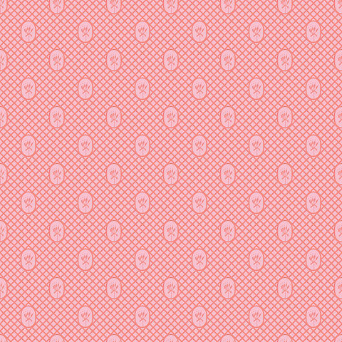 Lattice - Sherbet