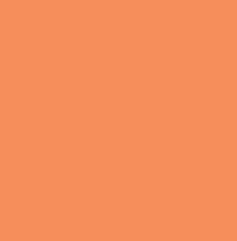 Pure Solids: Marmalade (539)