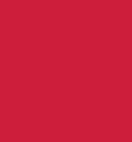 Pure Solids: Undeniably Red (537)